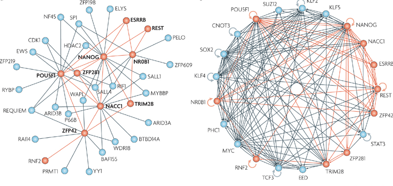 GraphViz example 01